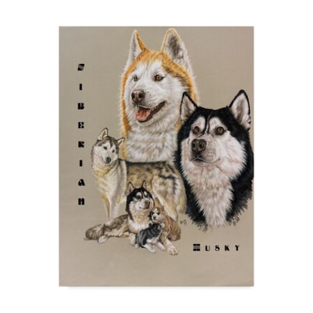 Barbara Keith 'Siberian Husky' Canvas Art,35x47